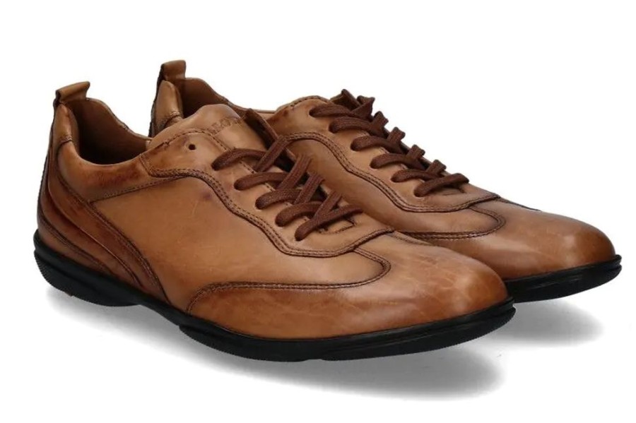 Herren Lloyd Sneakers | Lloyd Sneaker Bern Hero Dancing Calf Cognac