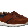 Herren Mephisto Sneakers | Mephisto Sneaker Boris Perf Tobacco Veloursport (44)